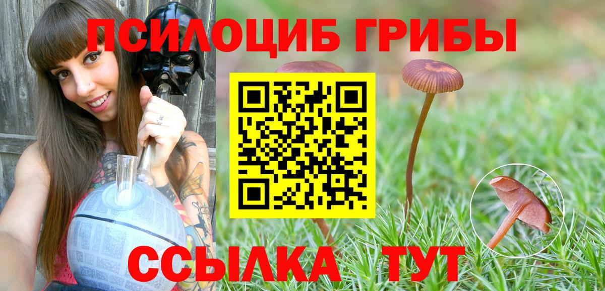 Псилоцибиновые грибы ЛСД Казань