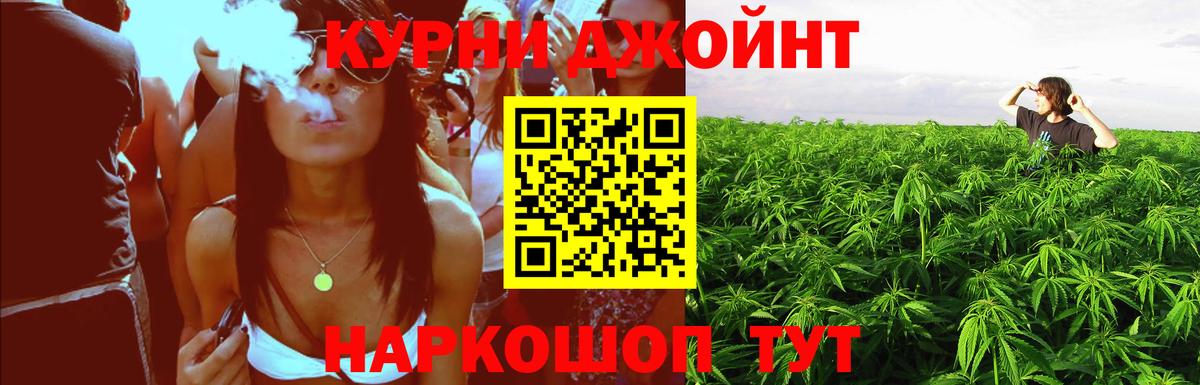 Казань  Конопля план  Конопля план  Вход с VPN  МАРИХУАНА семена 